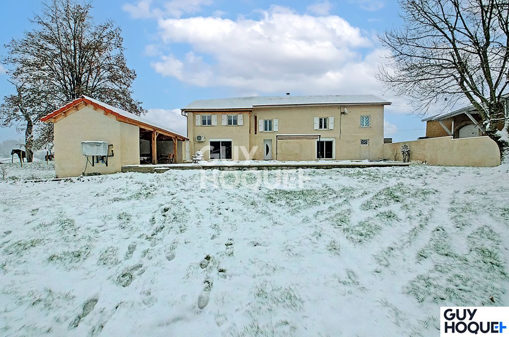 Achat maison à vendre 3 chambres 170 m² - Rochetoirin