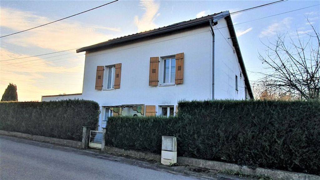 Achat maison à vendre 4 chambres 180 m² - Saint-Loup-sur-Semouse