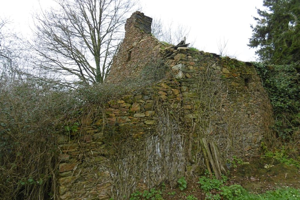 Achat maison 3 chambre(s) - Châteaubriant