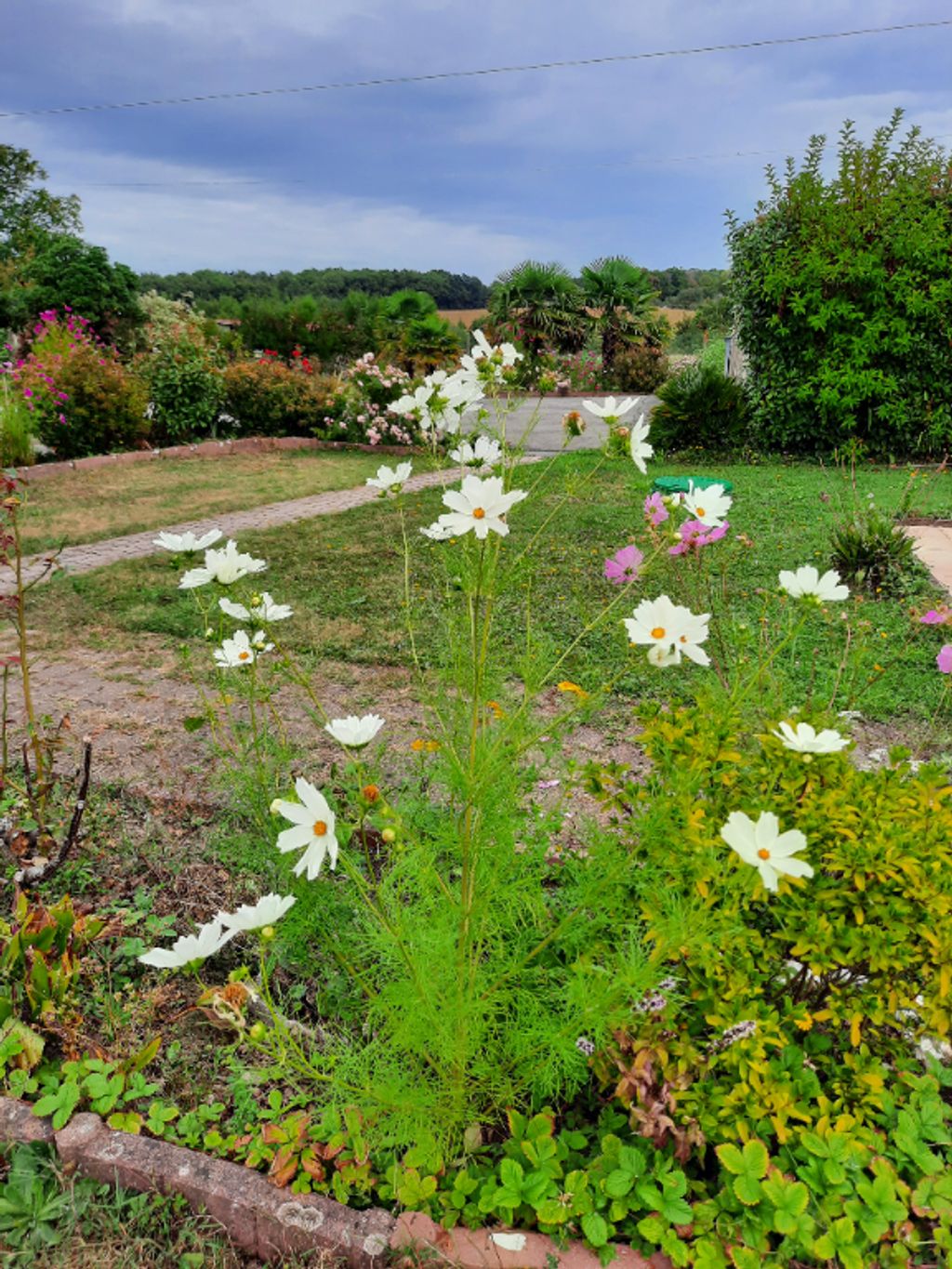 Achat maison à vendre 3 chambres 119 m² - Pornic