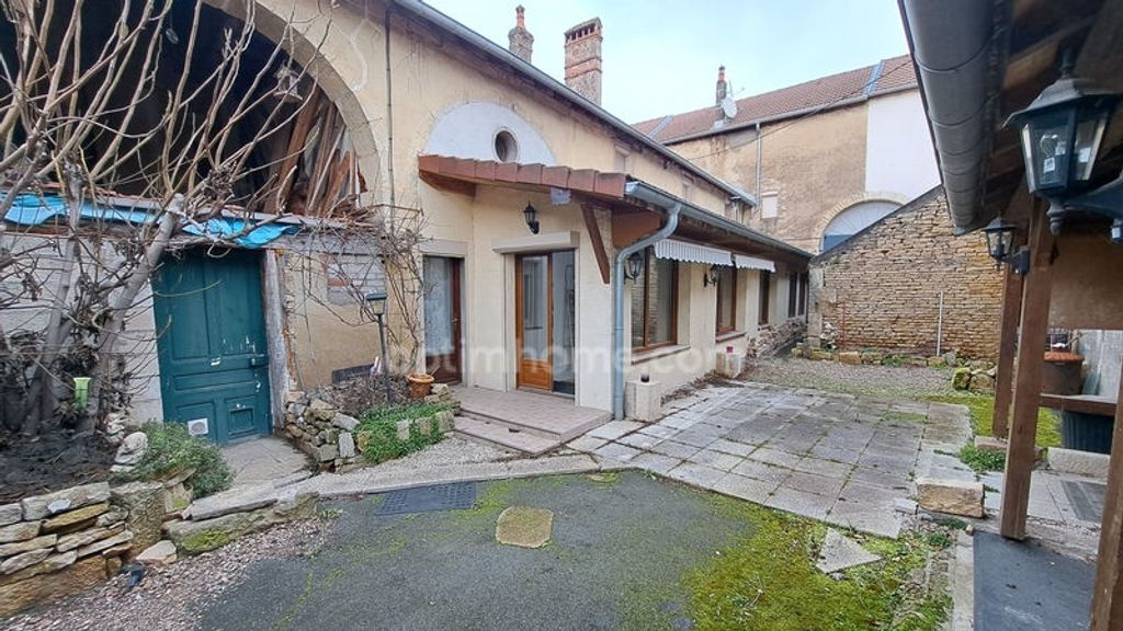 Achat maison à vendre 5 chambres 200 m² - Scey-sur-Saône-et-Saint-Albin