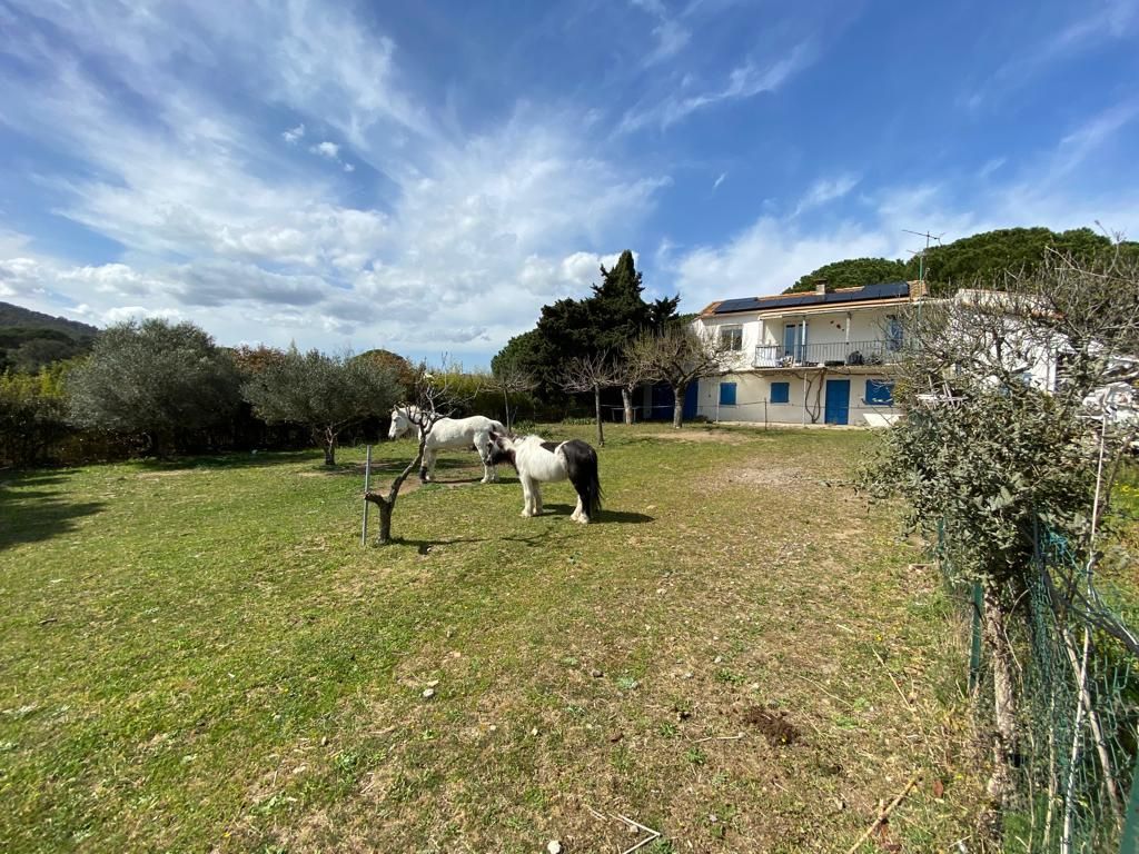 Achat maison à vendre 4 chambres 112 m² - Sainte-Maxime