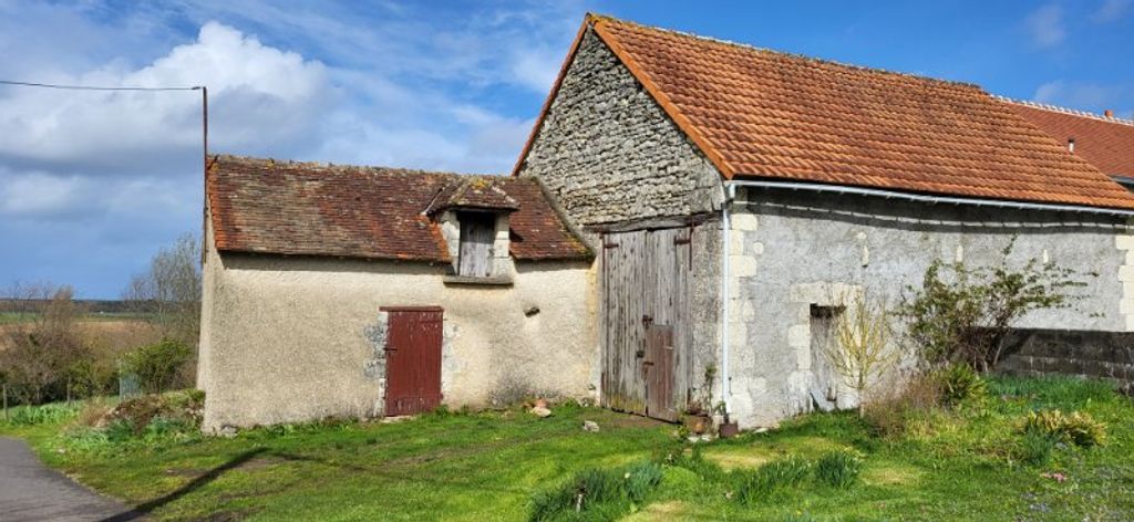 Achat maison 1 chambre(s) - Coussay-les-Bois