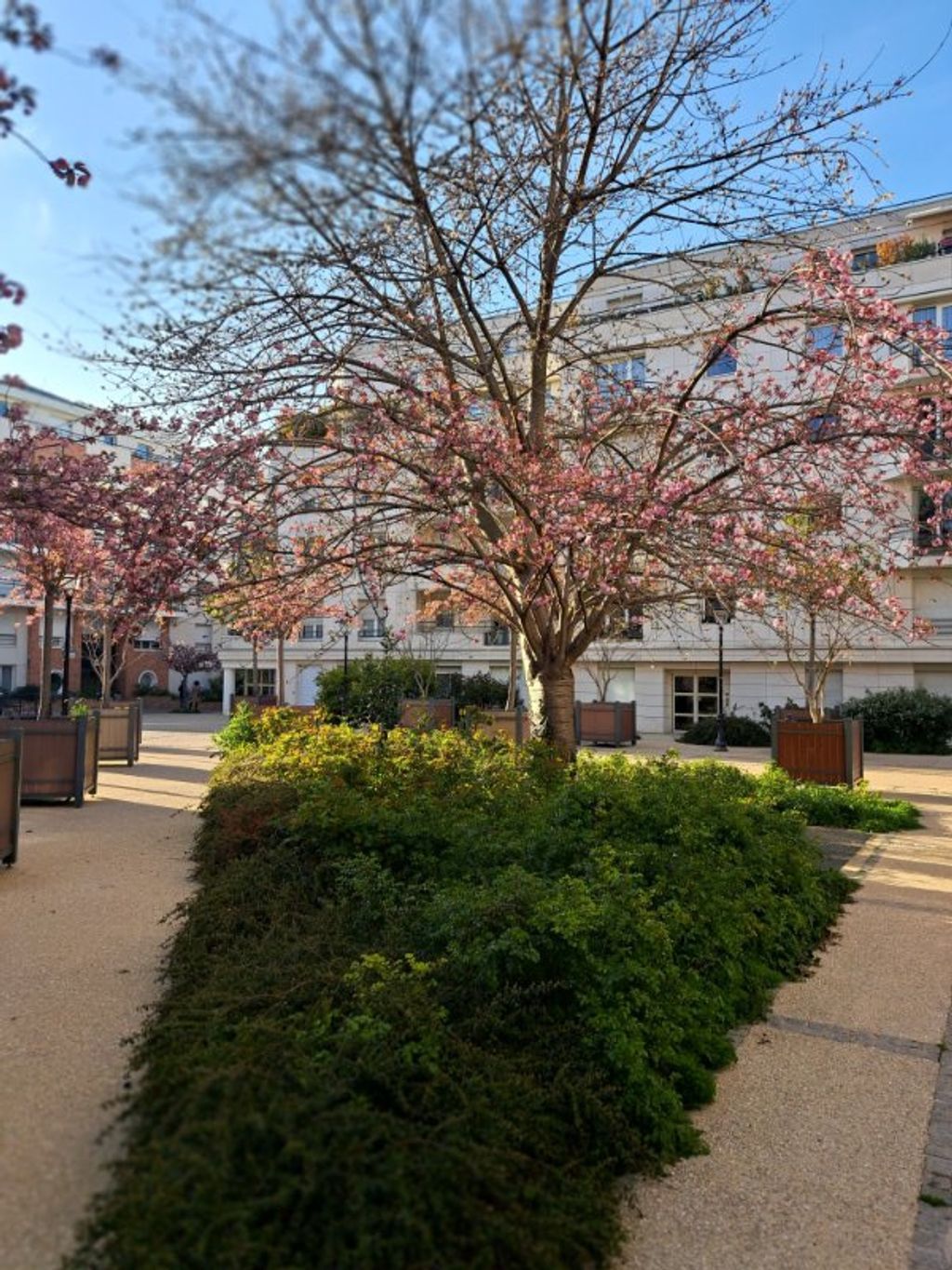 Achat appartement 2 pièce(s) Courbevoie