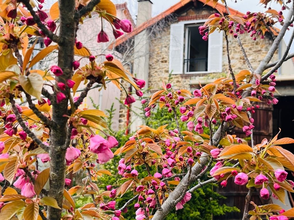 Achat maison 4 chambre(s) - Colombes