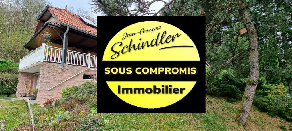 Achat maison à vendre 3 chambres 139 m² - Étueffont