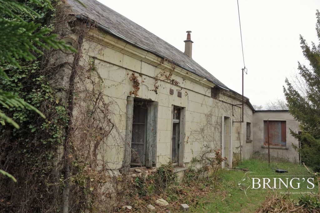 Achat maison 1 chambre(s) - La Chapelle-sur-Loire