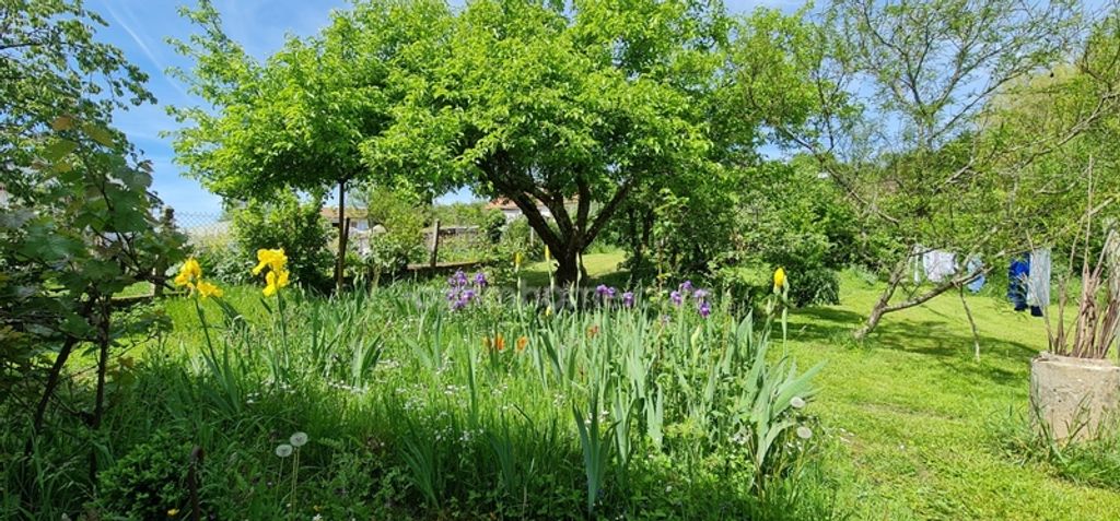 Achat maison 4 chambre(s) - Le Palais-sur-Vienne