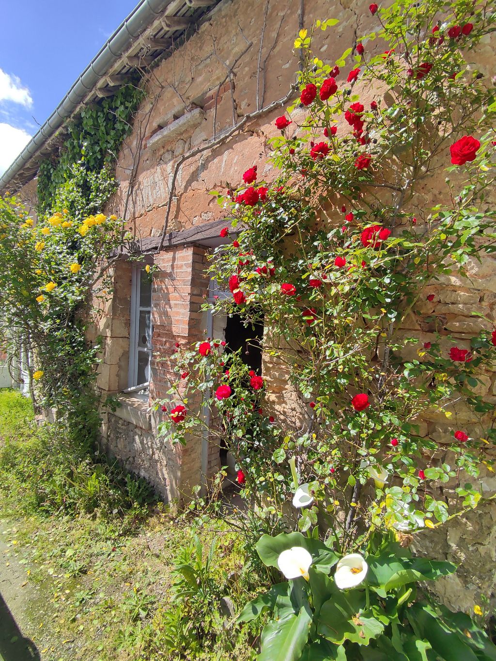 Achat maison à vendre 1 chambre 85 m² - Conlie