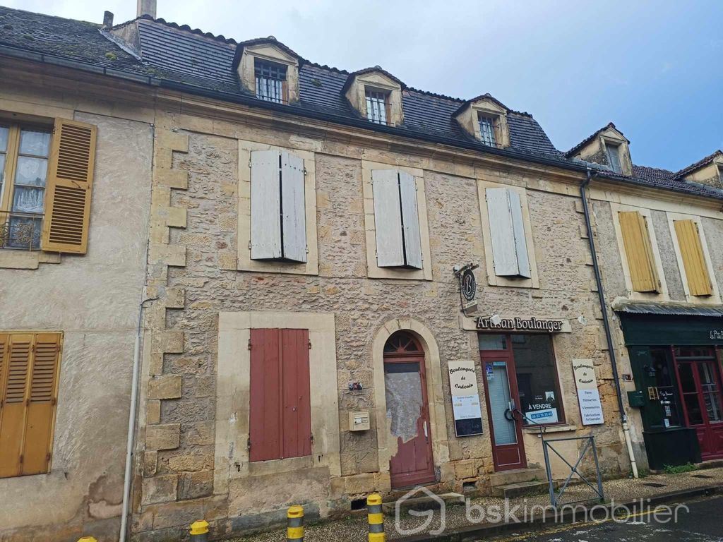 Achat maison à vendre 5 chambres 293 m² - Le Buisson-de-Cadouin