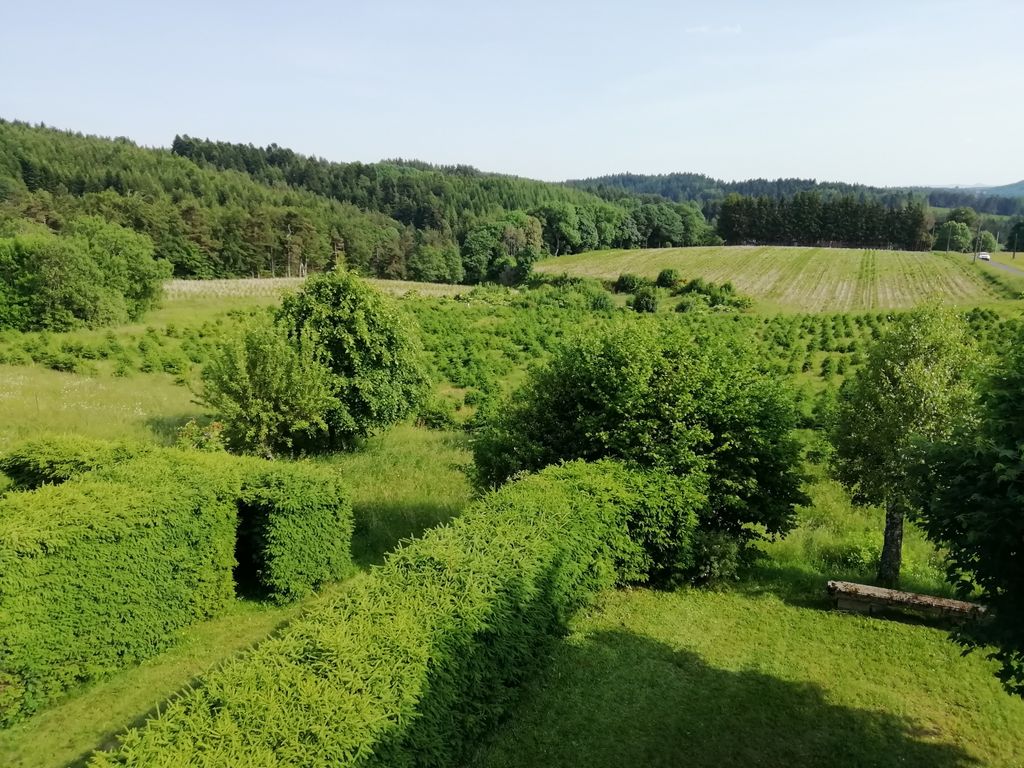 Achat maison 3 chambre(s) - Le Chambon-sur-Lignon