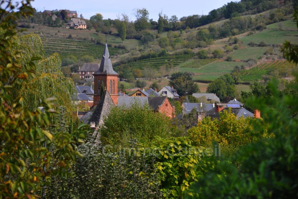 Achat maison 5 chambre(s) - Saint-Christophe-Vallon