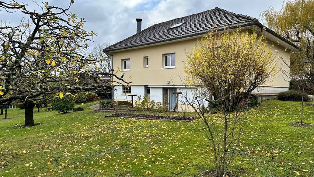 Achat maison à vendre 5 chambres 280 m² - Montbéliard