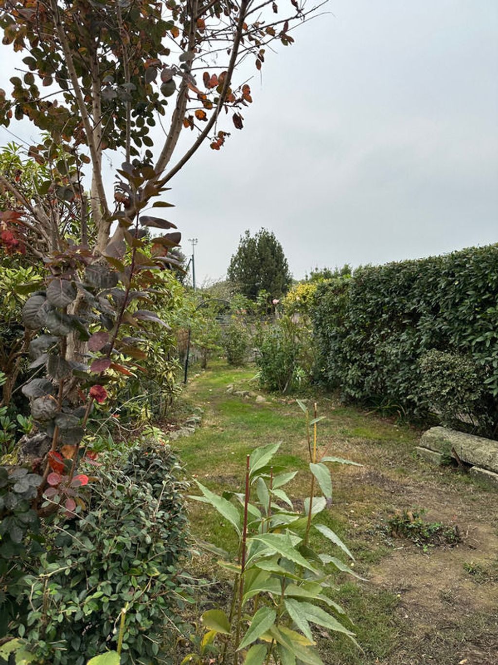 Achat maison 4 chambre(s) - La Roche-sur-Yon