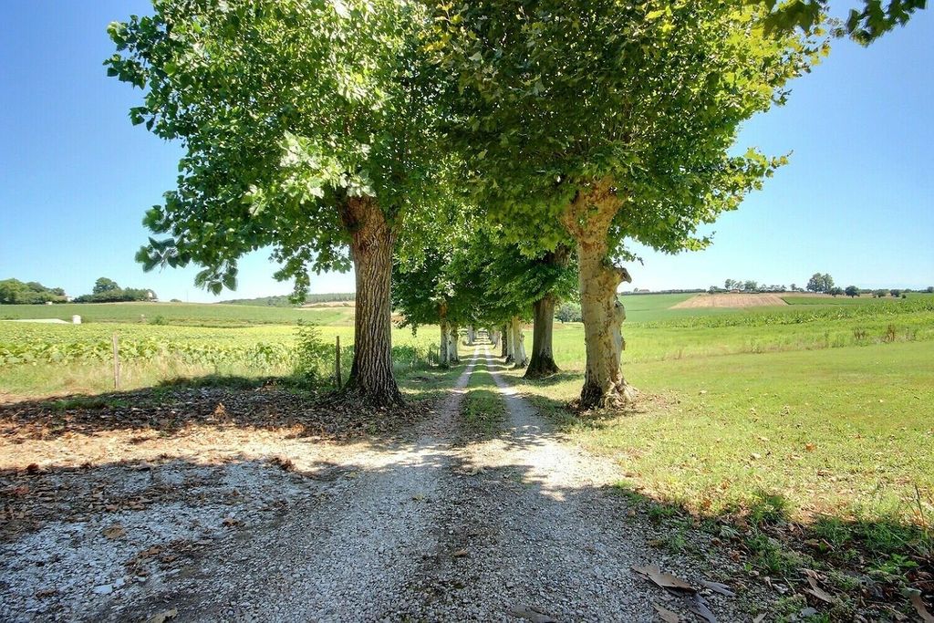 Achat maison 6 chambre(s) - Castaignos-Souslens