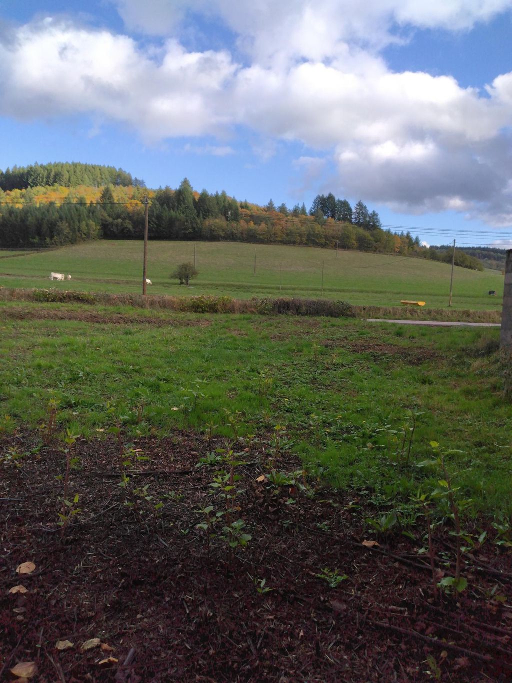 Achat maison 1 chambre(s) - Lucenay-l'Évêque