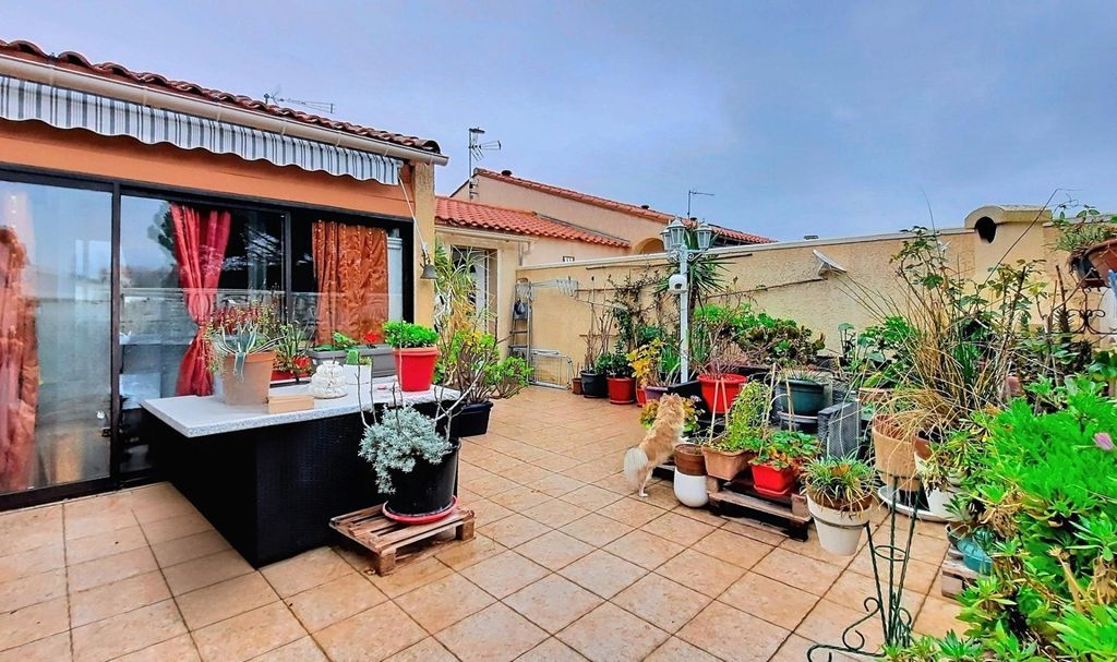 Achat maison à vendre 1 chambre 43 m² - Saint-Cyprien