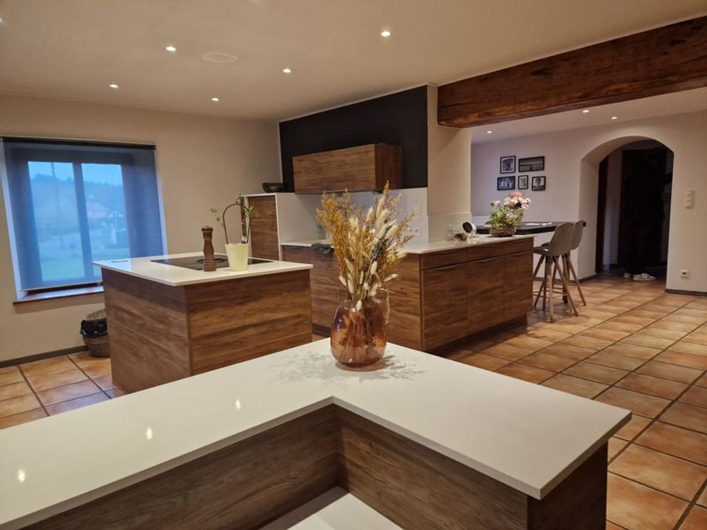 Achat maison à vendre 4 chambres 275 m² - Saint-Dié-des-Vosges