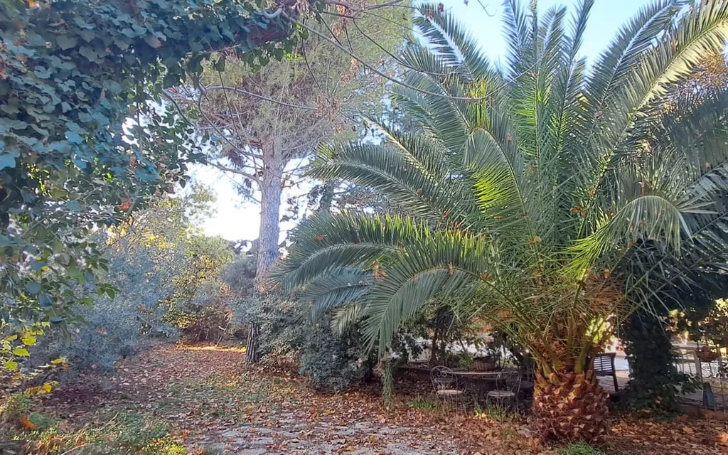 Achat maison 3 chambre(s) - Marignane