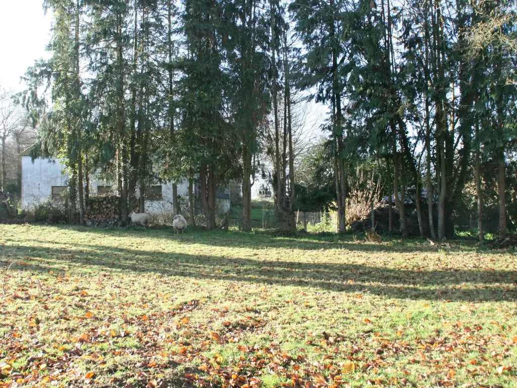 Achat maison 1 chambre(s) - Saint-Malo-des-Trois-Fontaines