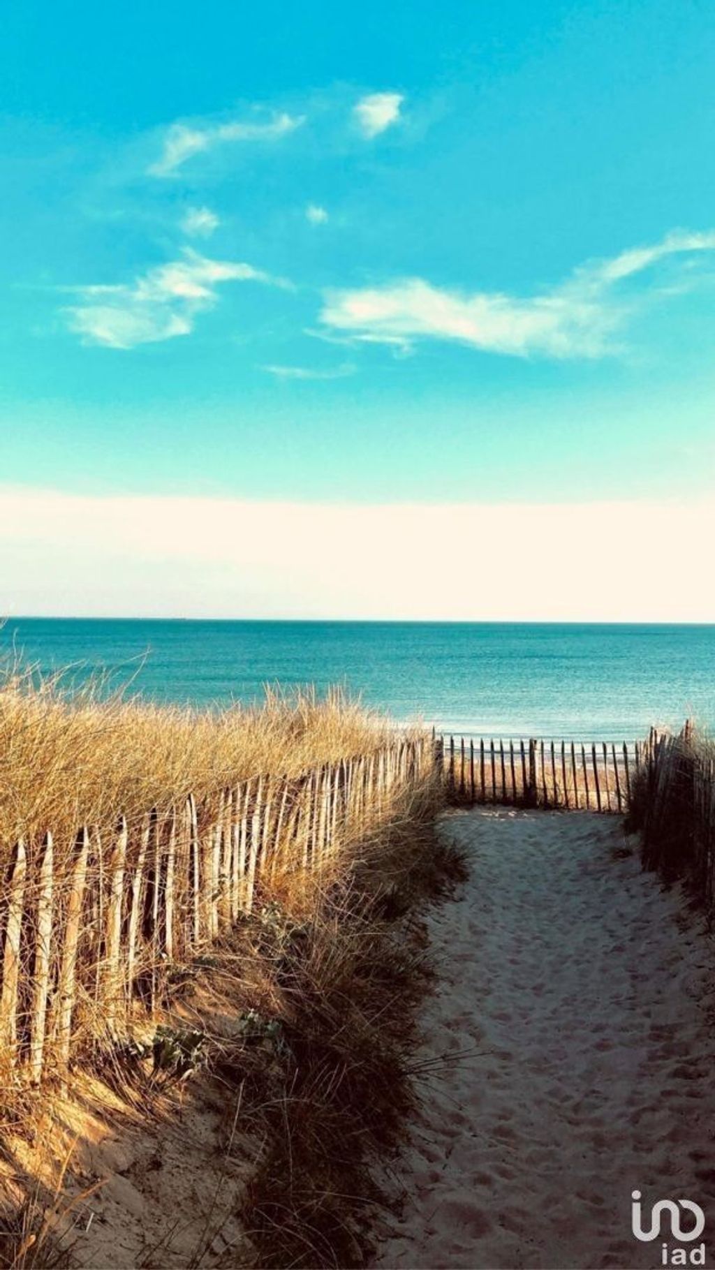 Achat maison 3 chambre(s) - Le Bois-Plage-en-Ré