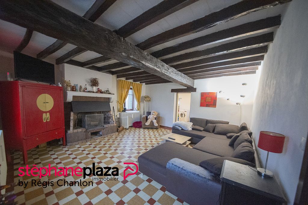 Achat maison à vendre 5 chambres 245 m² - Saint-Pierre-le-Moûtier