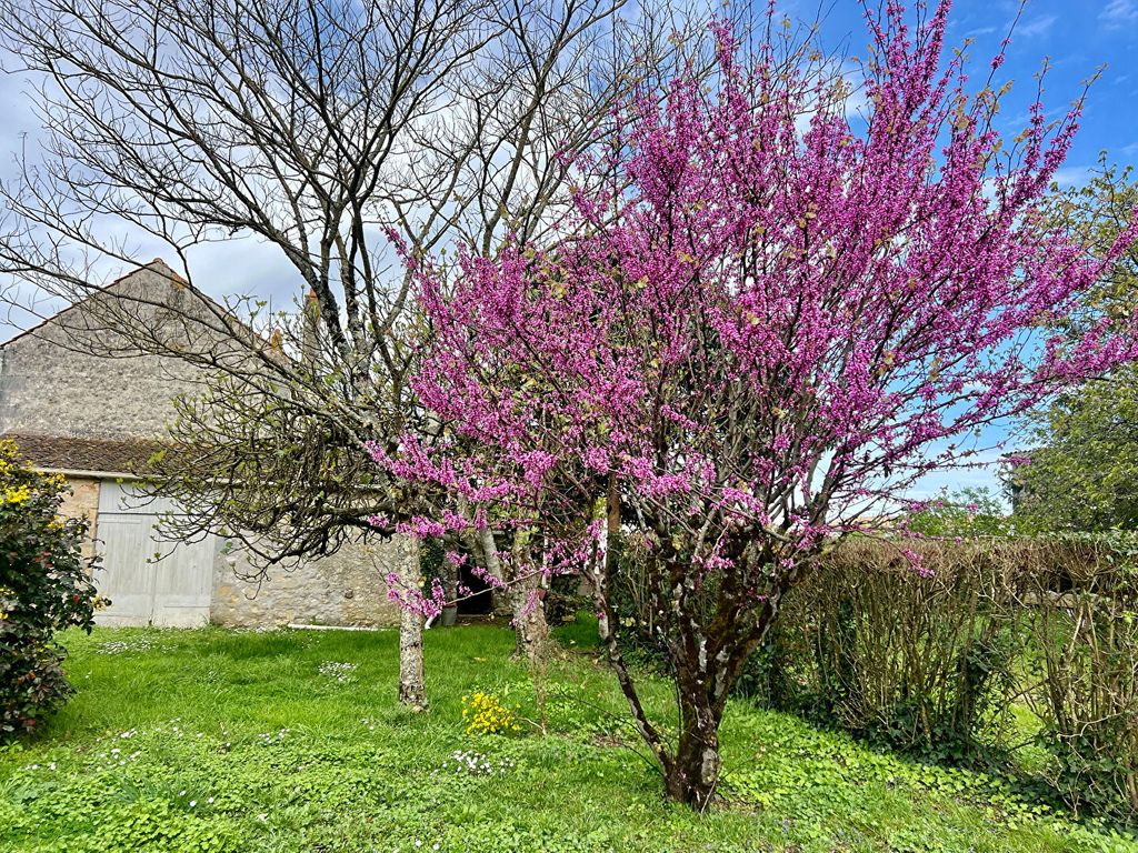 Achat maison 5 chambre(s) - Échillais