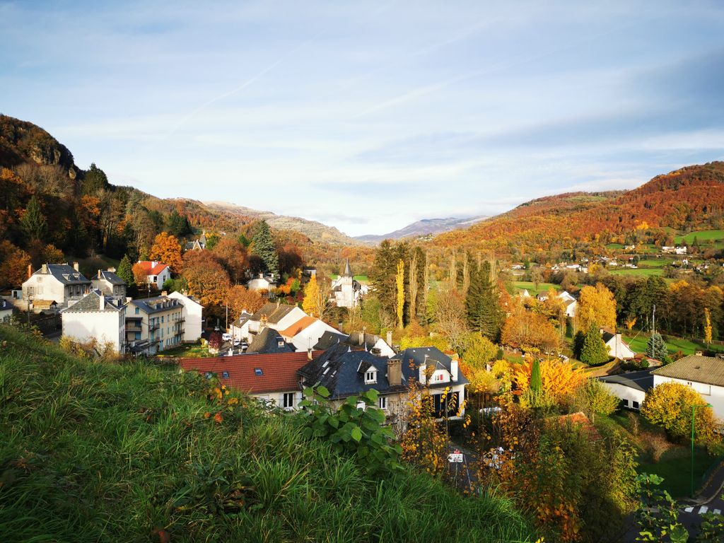 Achat maison 1 chambre(s) - Vic-sur-Cère