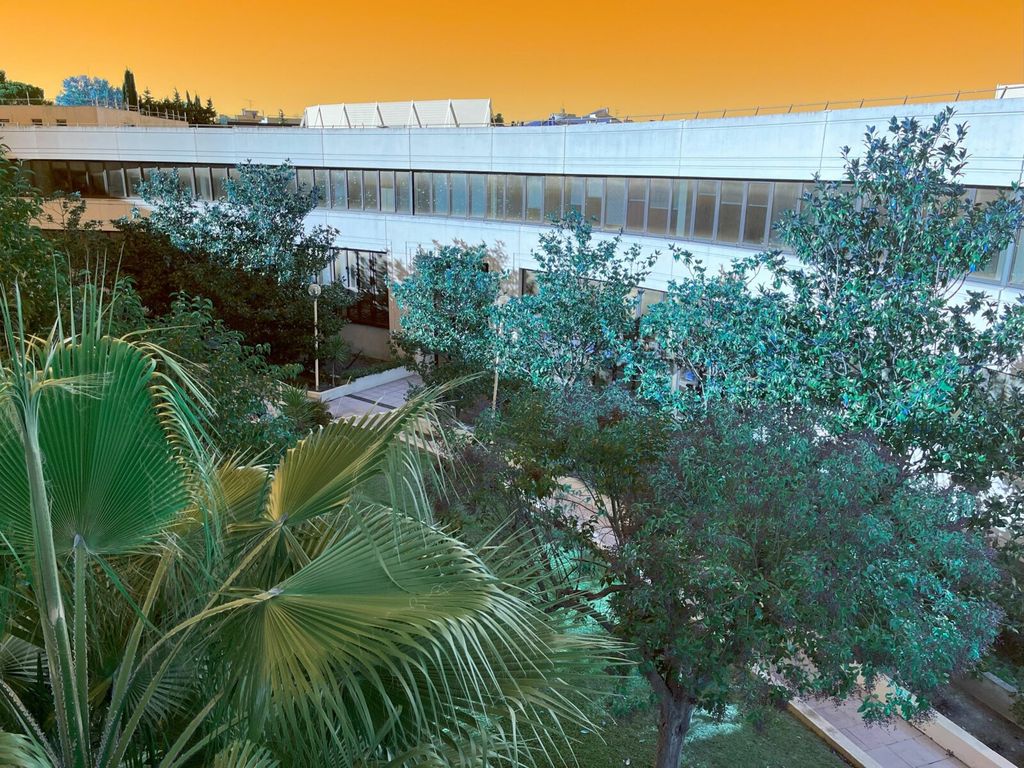 Achat studio à vendre 36 m² - Montpellier