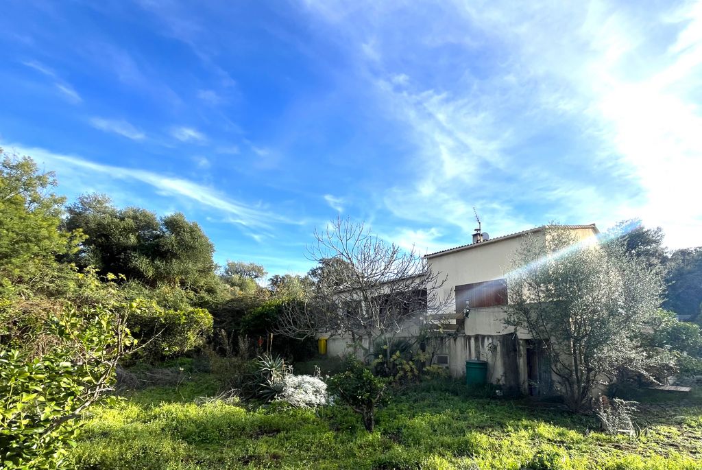 Achat maison à vendre 3 chambres 158 m² - Calvi