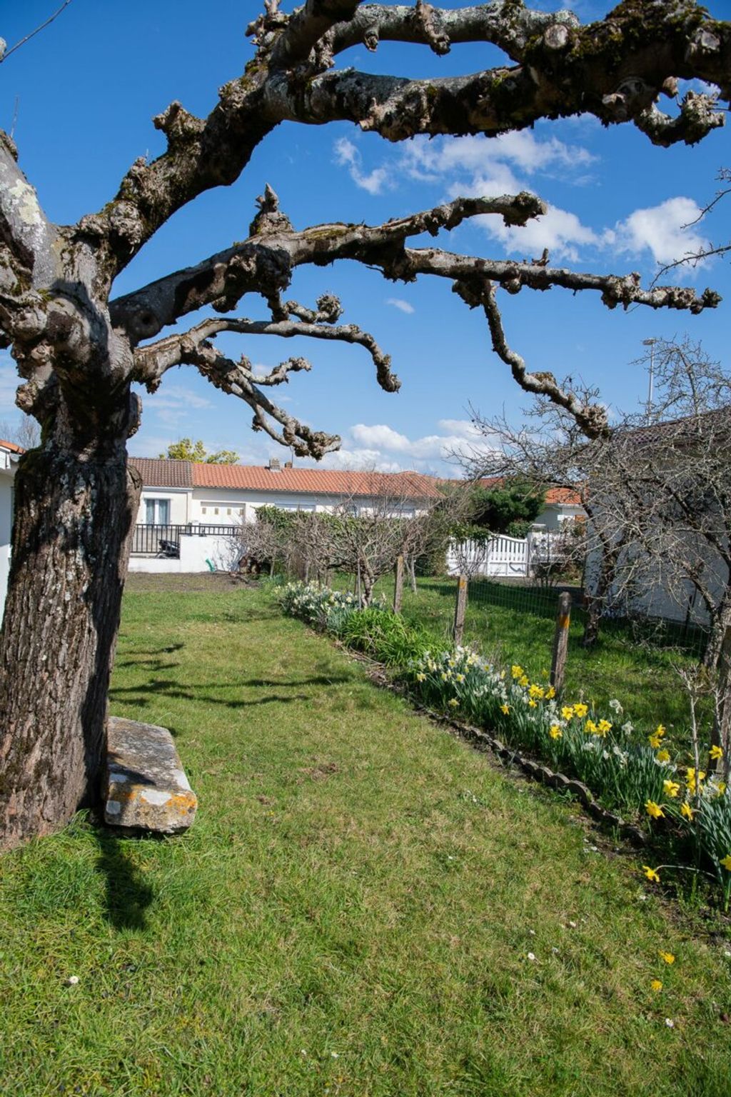 Achat maison 3 chambre(s) - Ambès