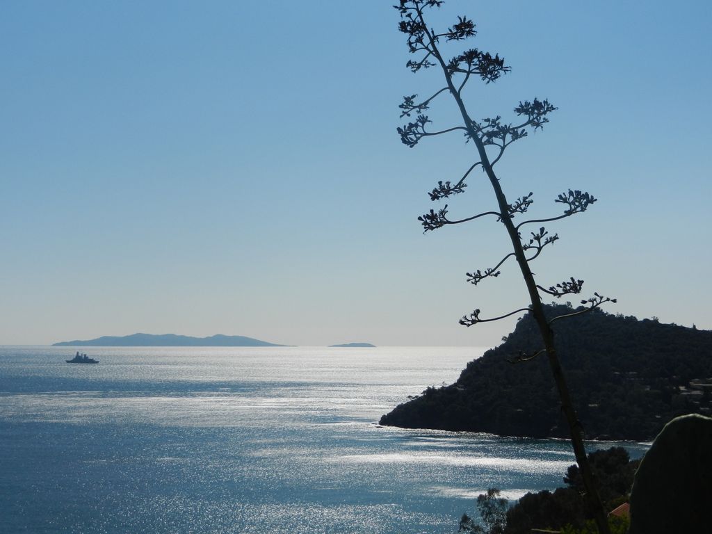 Achat maison 5 chambre(s) - Le Lavandou