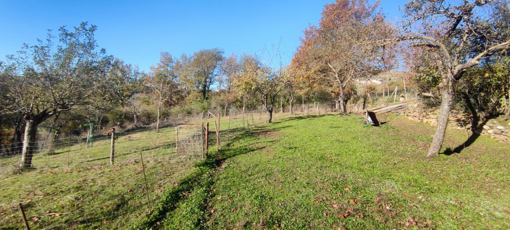 Achat maison 4 chambre(s) - Estaing