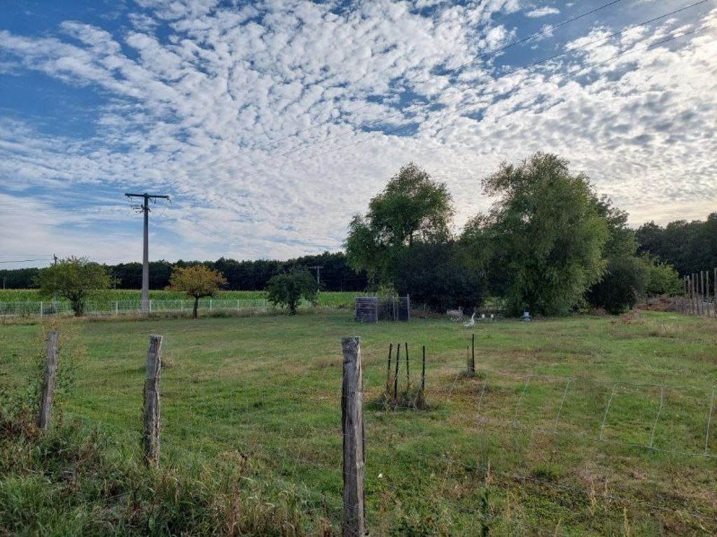 Achat maison 4 chambre(s) - Loches