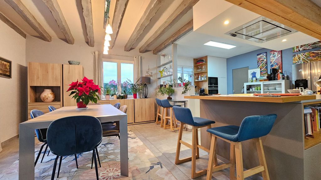 Achat maison à vendre 6 chambres 248 m² - Saint-Denis-en-Val