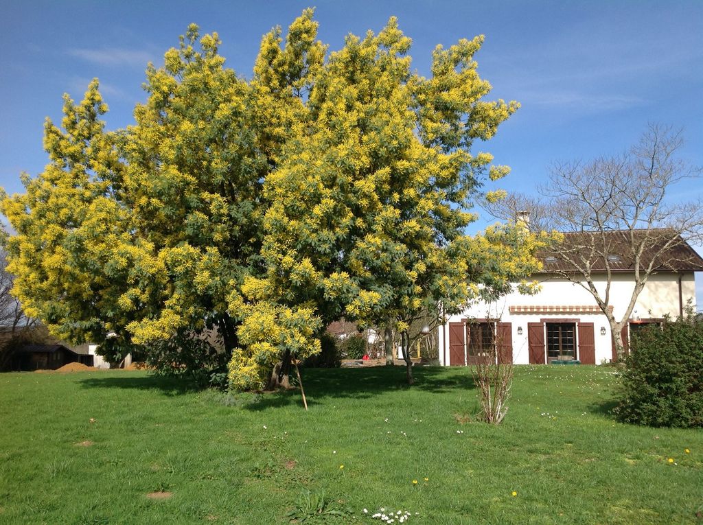 Achat maison 5 chambre(s) - Castagnède