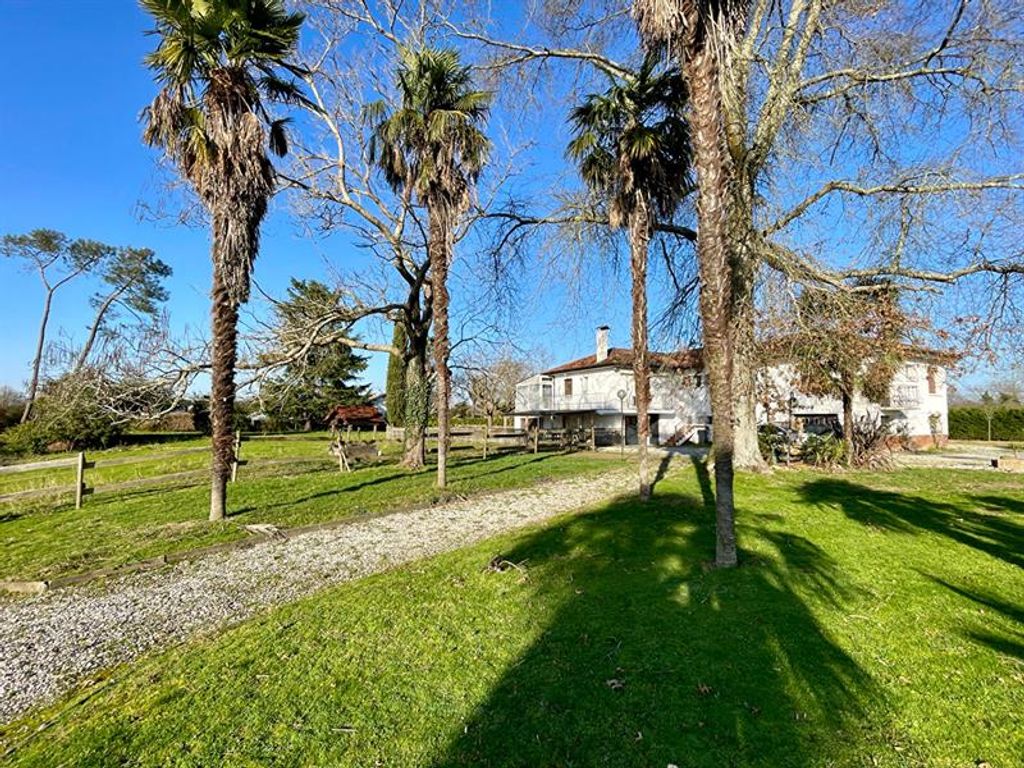 Achat maison à vendre 6 chambres 277 m² - Mont-de-Marsan