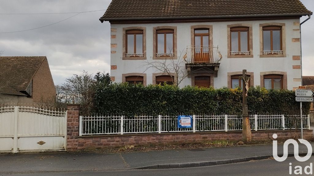 Achat maison à vendre 4 chambres 181 m² - Hessenheim