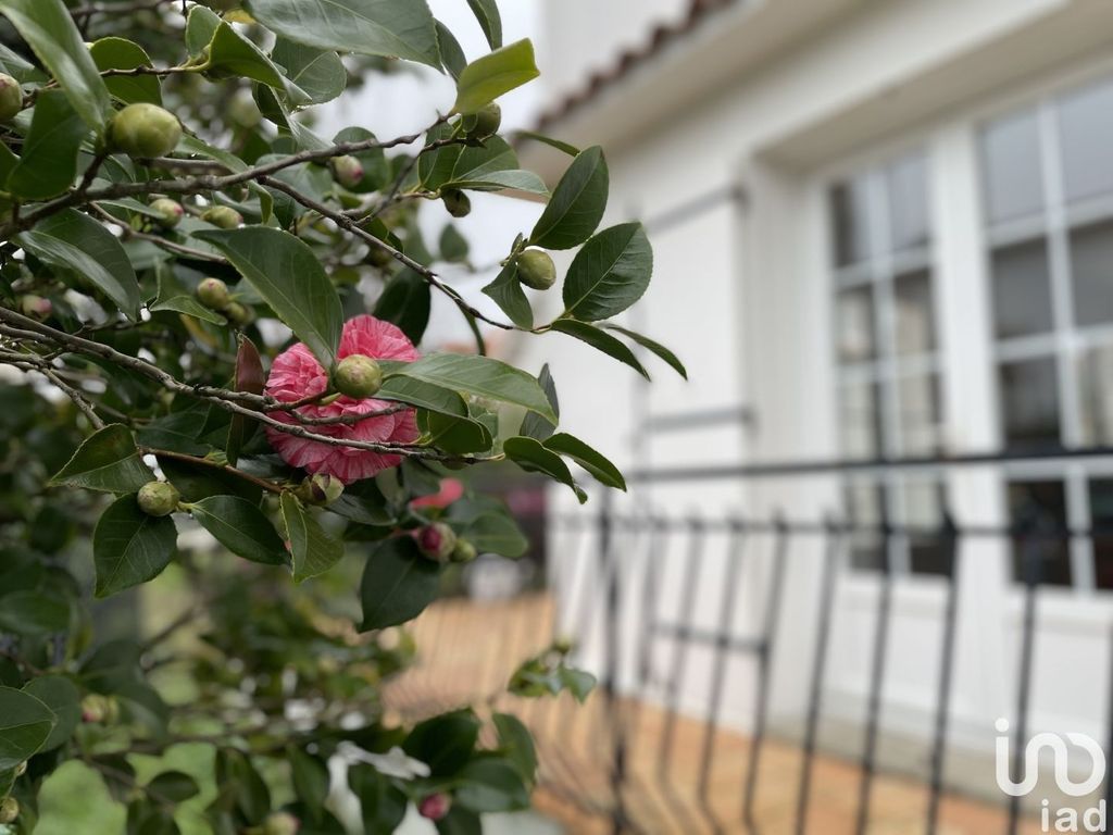 Achat maison 4 chambre(s) - Royan