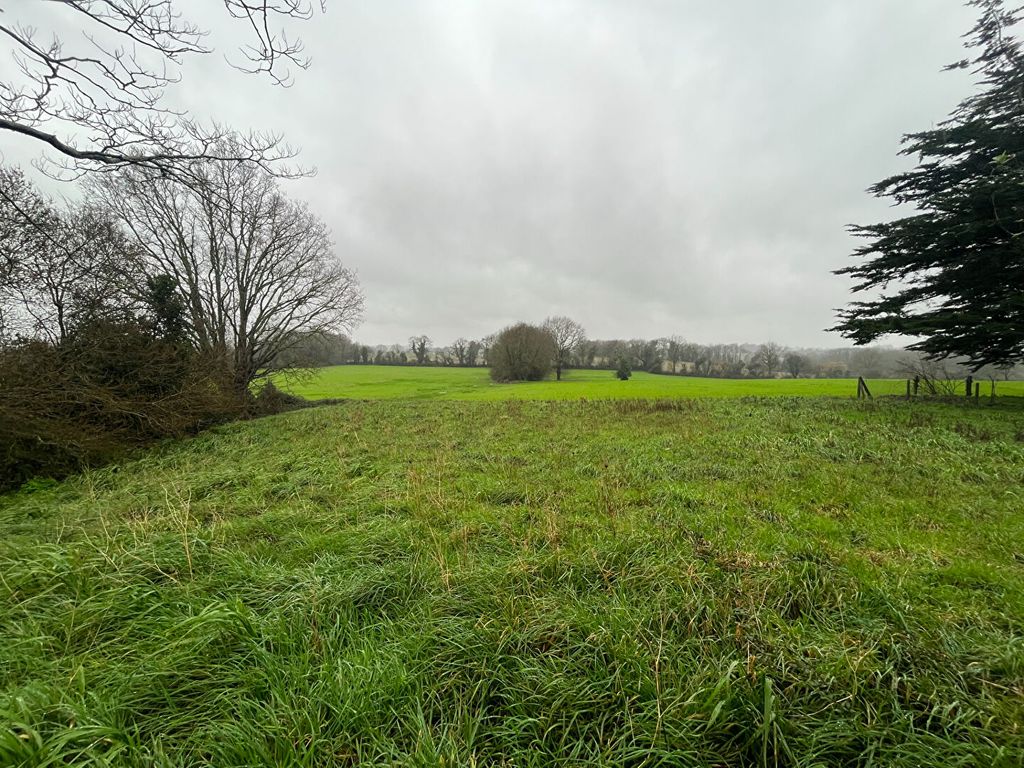 Achat maison 3 chambre(s) - Mauves-sur-Loire