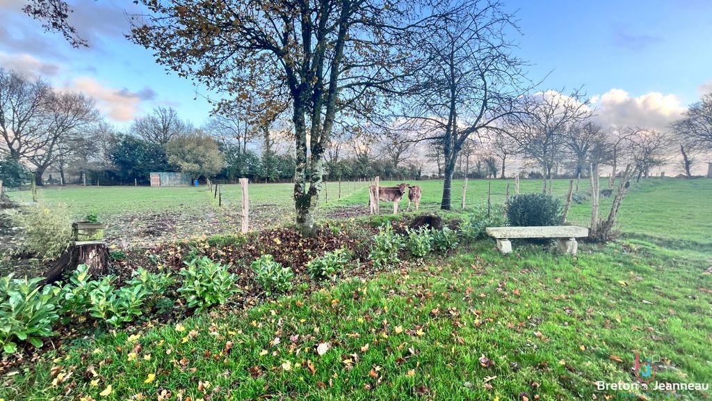 Achat maison 4 chambre(s) - Saint-Ouën-des-Toits