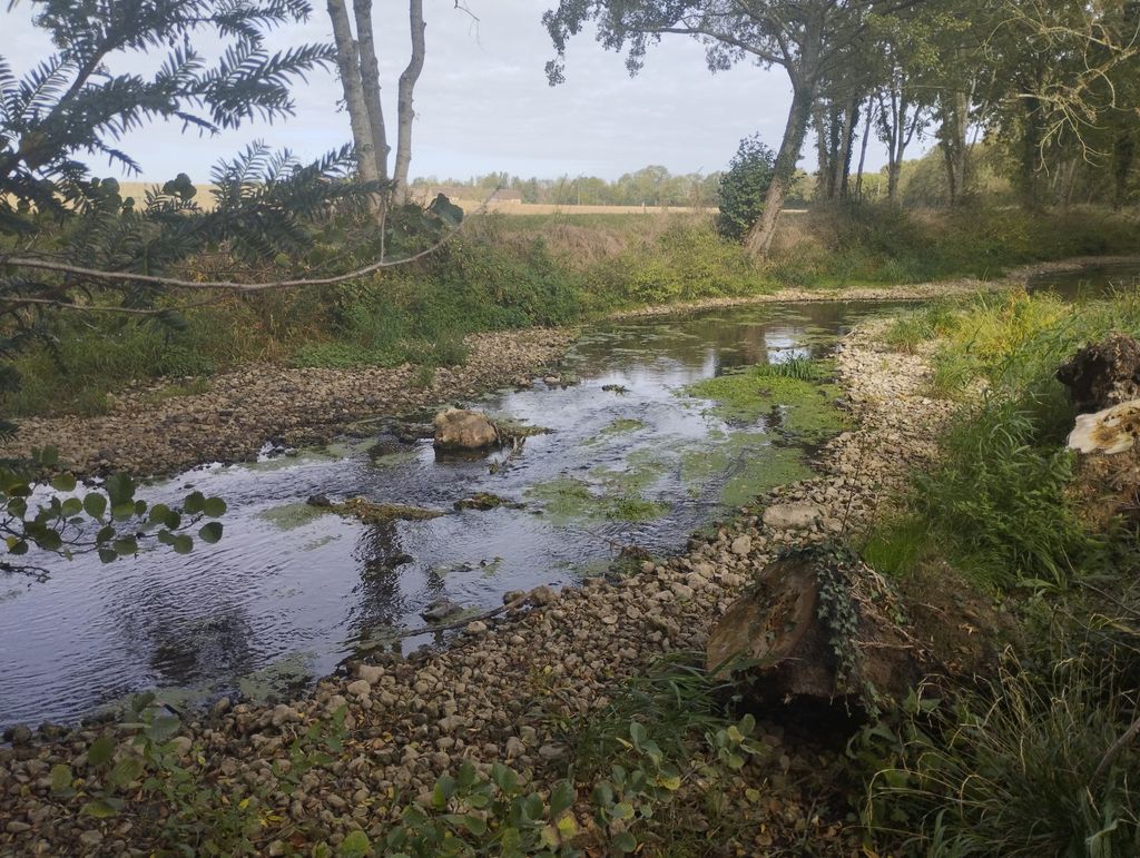 Achat maison 4 chambre(s) - Châteaudun