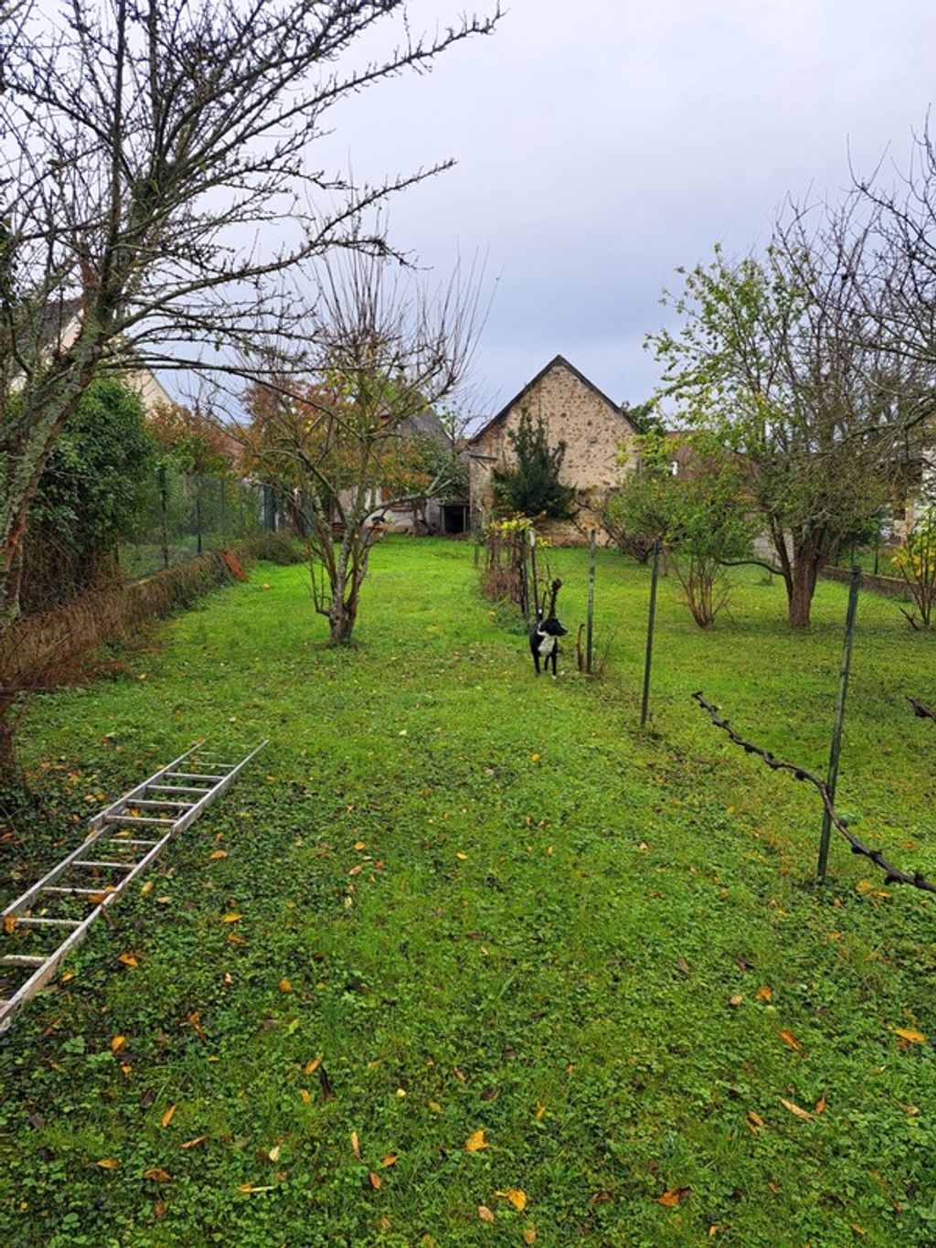 Achat maison à vendre 2 chambres 70 m² - La Brosse-Montceaux