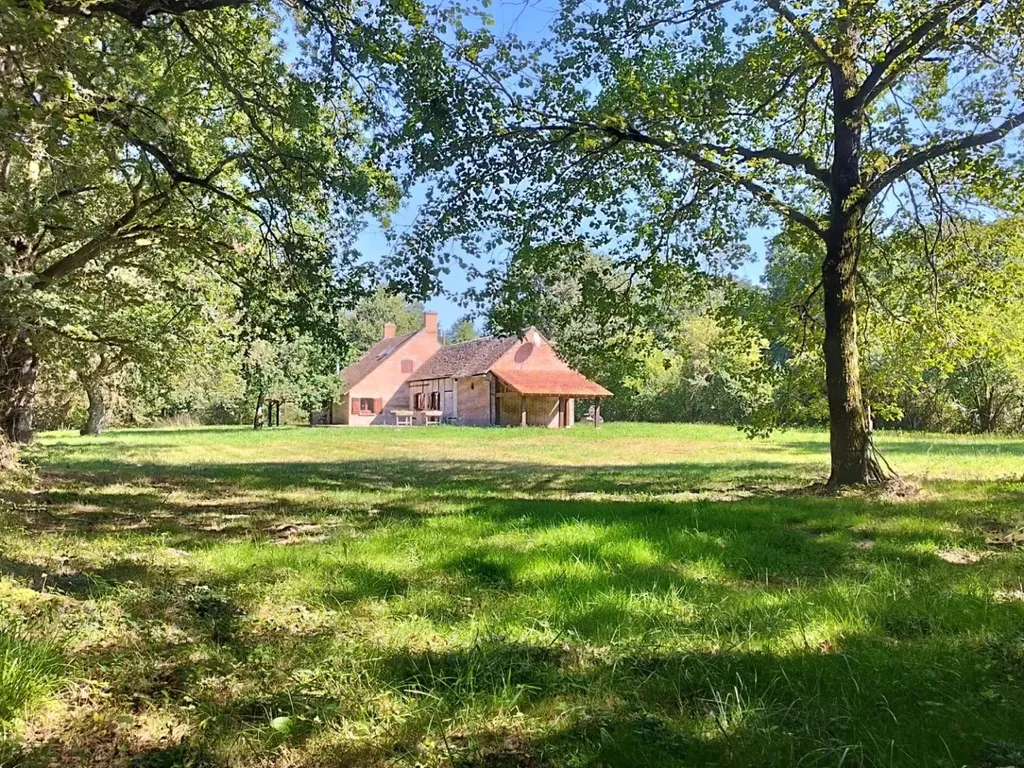 Achat maison 4 chambre(s) - Chaumont-sur-Tharonne