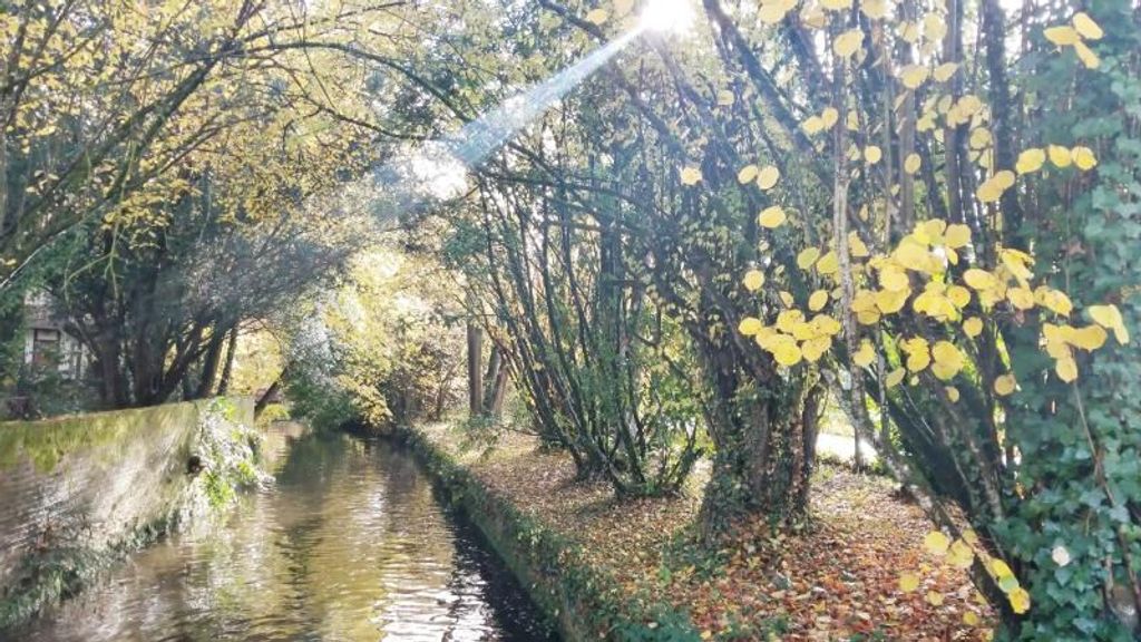 Achat appartement 4 pièce(s) Gisors