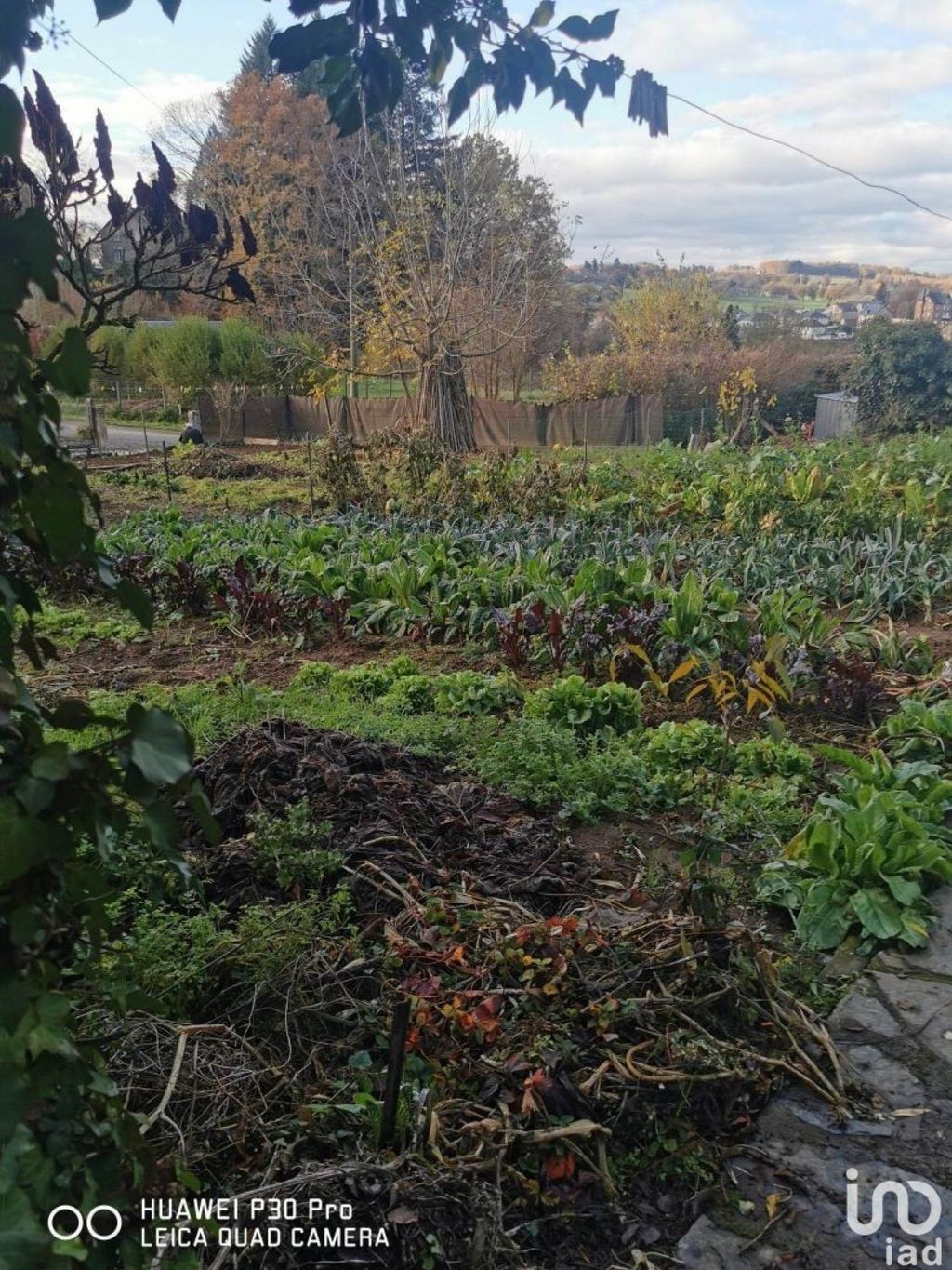 Achat maison 3 chambre(s) - Uzerche