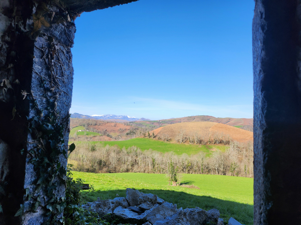 Achat maison 1 chambre(s) - Oloron-Sainte-Marie