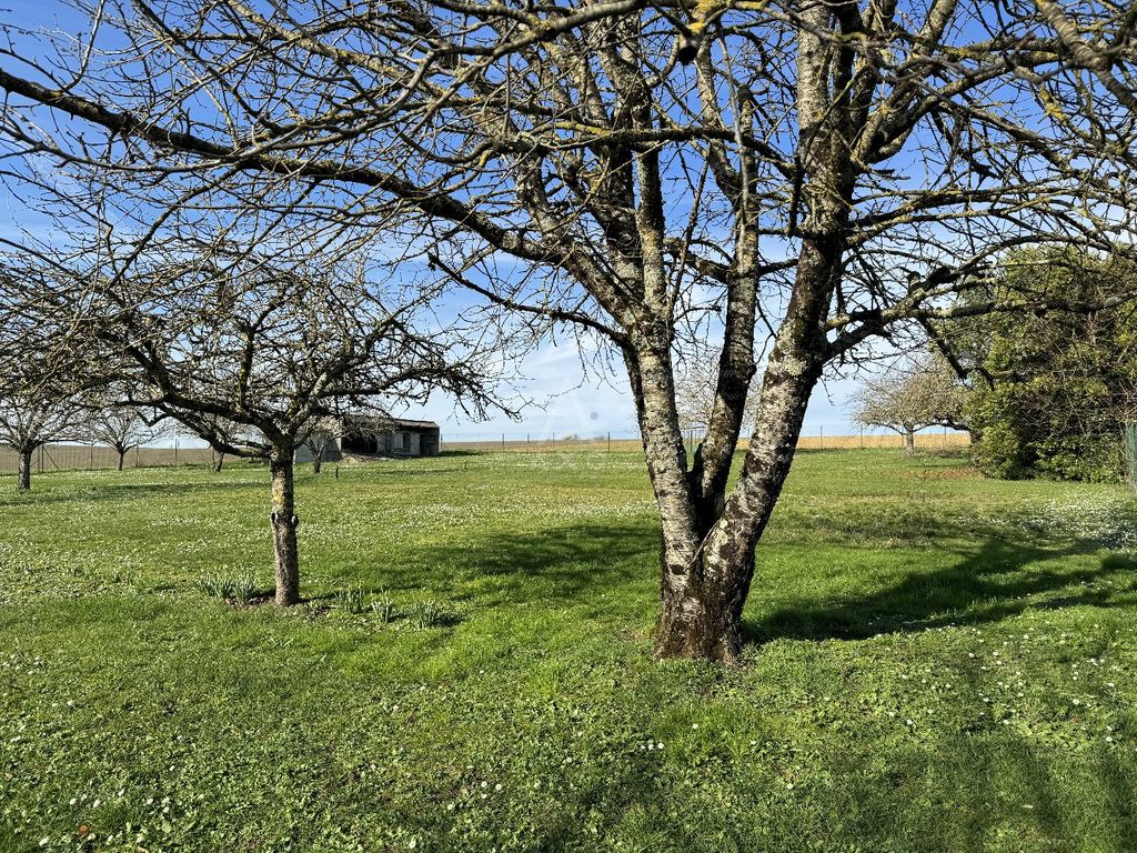 Achat maison 3 chambre(s) - Fouquebrune