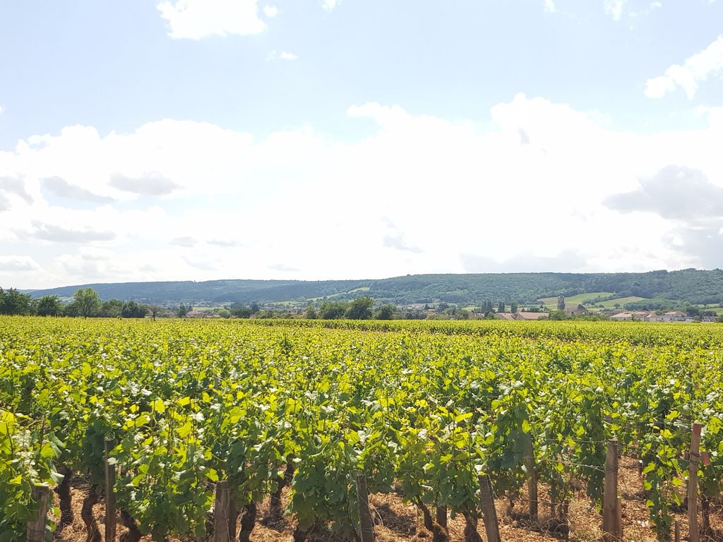 Achat maison 2 chambre(s) - Marsannay-la-Côte