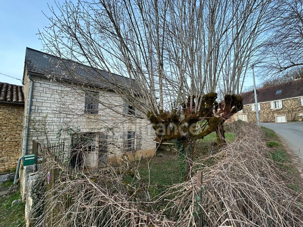 Achat maison 3 chambre(s) - Coulaures